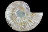 Polished Ammonite Fossil (Half) - Agatized #72937-1